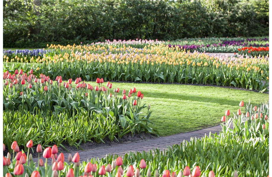 Gartenräume optimal gestalten