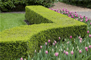 Gartenräume optimal gestalten