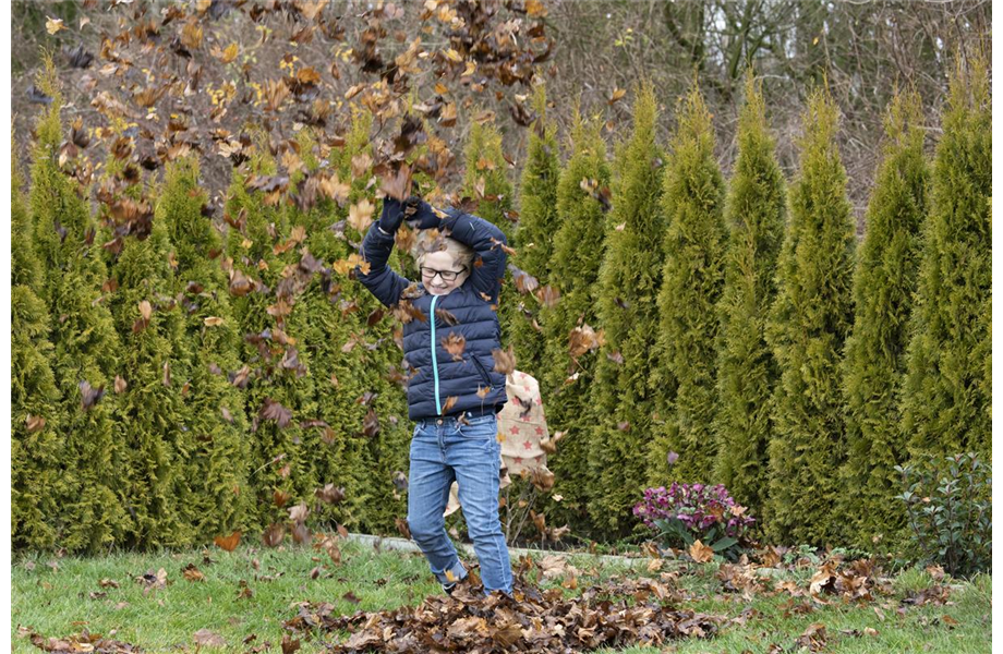 Was tun mit dem Herbstlaub?