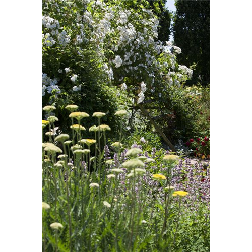 Lauschige Ecken im Garten