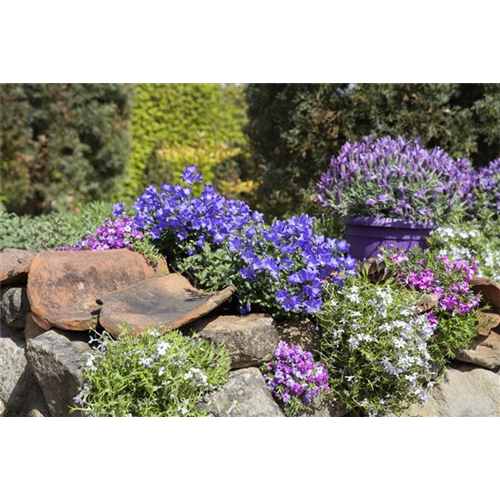 Gartenarbeiten im Mai