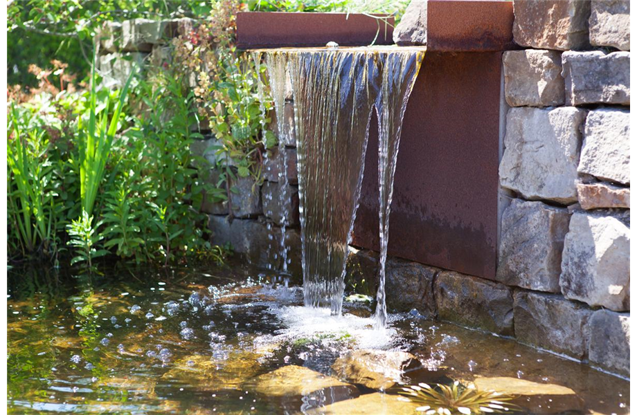 Der Wassergarten 