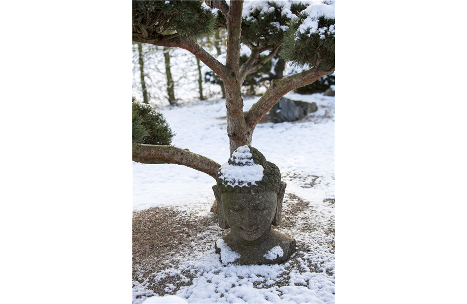 Skulpturen im Garten