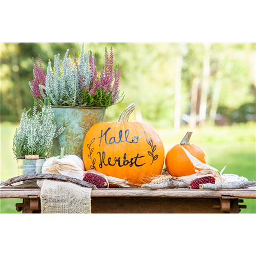 Herbst auf den Balkon holen