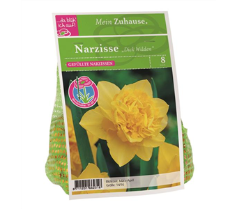 Blumenzwiebel Narzisse 'Dick Wilden'