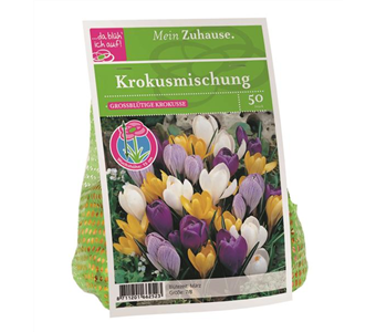 Blumenzwiebel Krokus Mischung