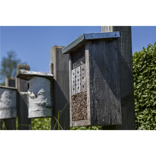 Bauen Sie ein Insektenhotel 